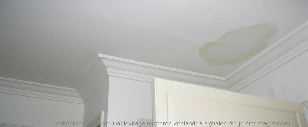 Daklekkage opsporen Zeeland: 5 signalen die je niet mag missen