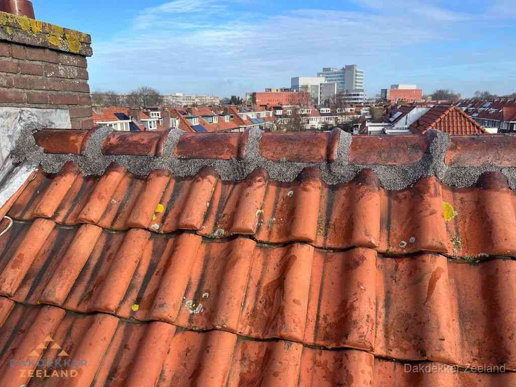 Zeeland Daken Renoveren
